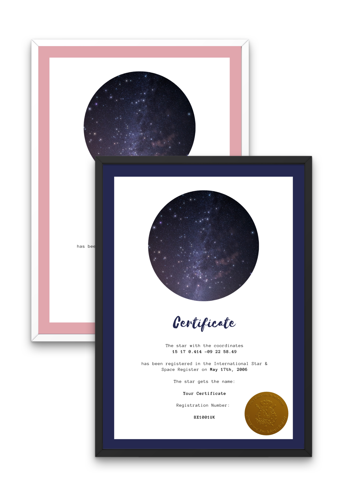 Modern Nightblue & Modern Light Rose